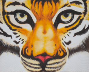 Tiger (zoom)